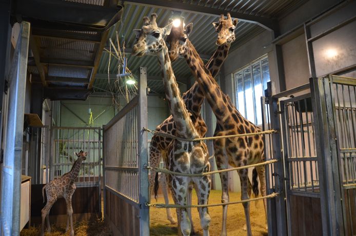 Kamala moest in afzondering worden geplaatst, omdat moeder Simone vijandig reageerde.