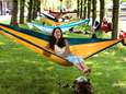 Hangmat ophangen in een Utrechts park? Eerst even toestemming aan de gemeente vragen