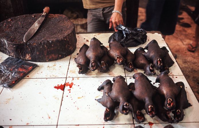 Op een markt in Sulawesi, Indonesië worden geroosterde vliegende vossen, een soort reuzenvleermuis, verkocht. De mix van uitwerpselen, bloed en urine op de markten voor wilde dieren biedt virussen een uitgelezen kans om van de ene soort op de andere te springen.