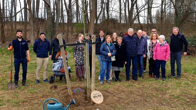 Gemeente plant lindenboom ter ere van Willy Nijs