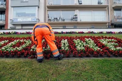 37.000 werklozen komen in aanmerking voor de verplichte gemeenschapsdienst, maar slechts ‘handvol’ mensen voerden effectief uit