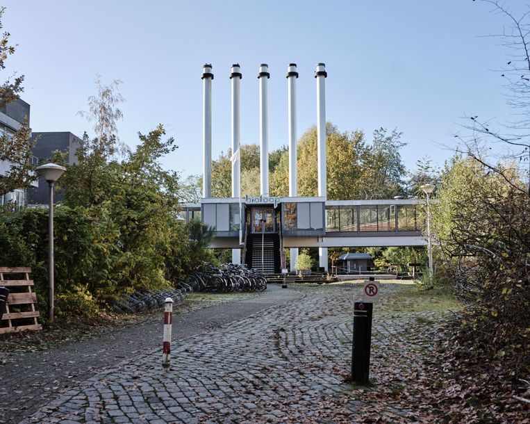 Het terrein van woongemeenschap de Biotoop in Haren.  Beeld Erik Smits