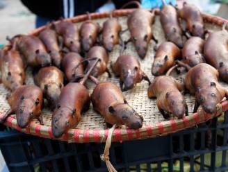 "Schokkende" hoeveelheden rattenvlees op Londense markten