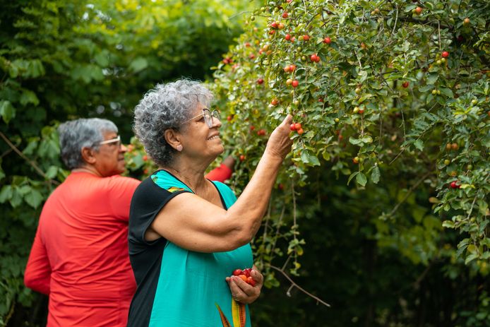 Acerola cherry is the fruit with the highest amount of vitamin C. Brussels sprouts are the vegetable with the highest amount of vitamin C.