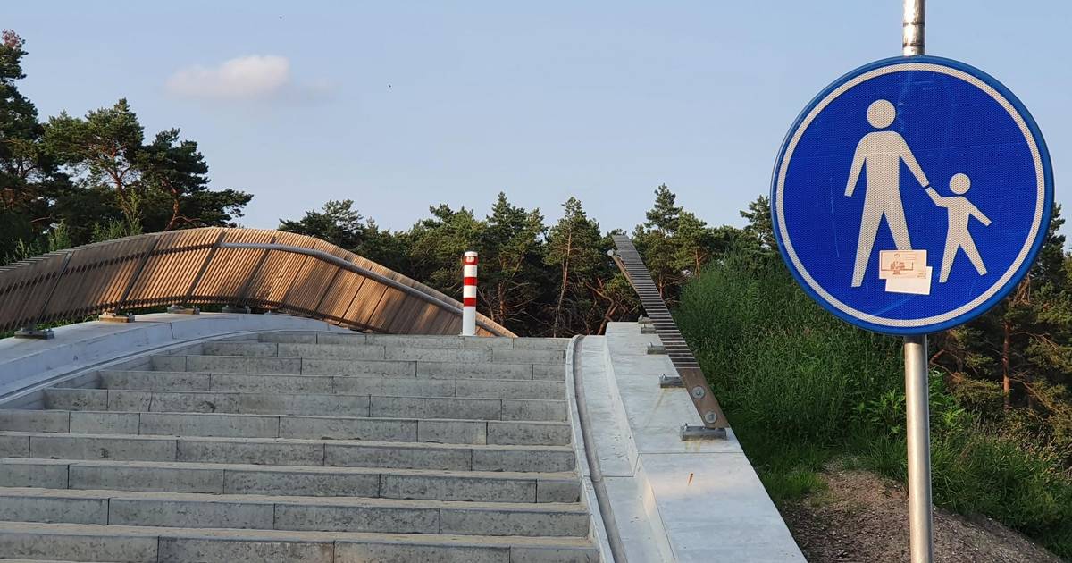 Fietsers klagen over voetgangersviaduct aan Bosweg in Riethoven