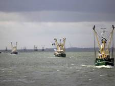 Alarm om laatste vissers op het IJsselmeer: blijft voldoende ruimte over voor vangen van paling?