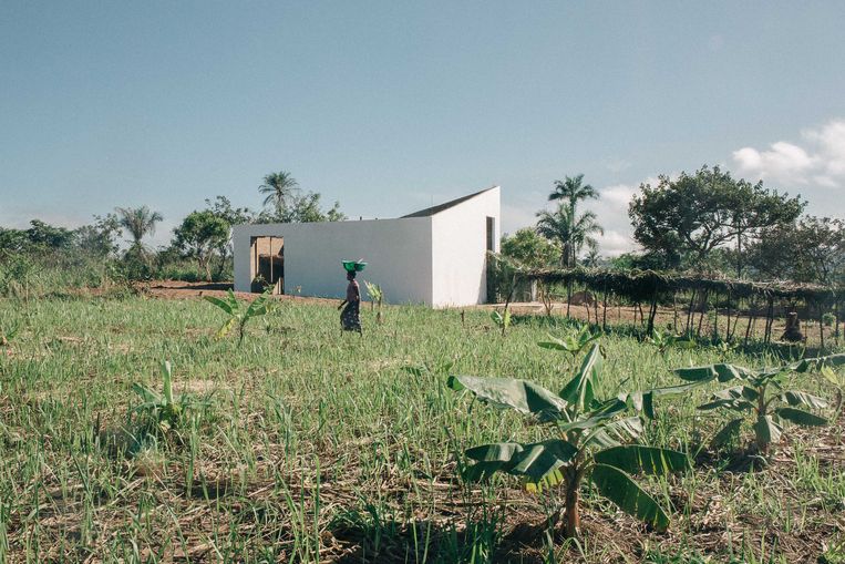 De White Cube van Renzo Martens, in samenwerking met het gerenommeerde architectenbureau OMA, te midden van de cacaoplantages in Congo.  Beeld Renzo Martens