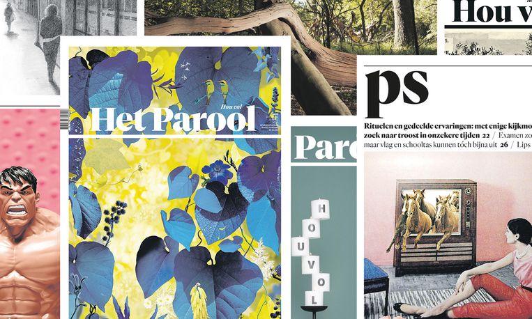 Het Parool zoekt een stagiair PS