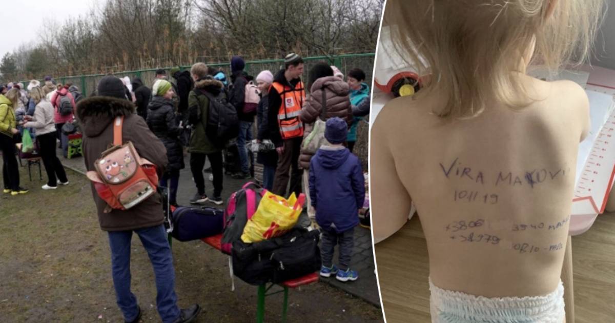 La totale disperazione dei genitori ucraini: scrivono dati di contatto sui corpi dei loro figli |  Guerra tra Ucraina e Russia