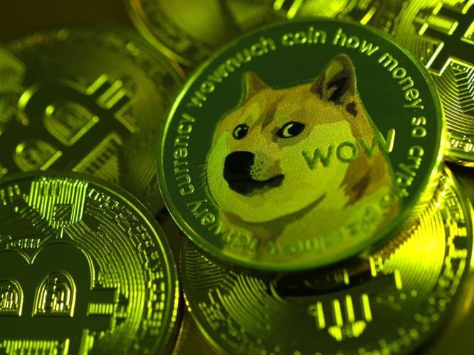 Cryptomunt Dogecoin op 24 uur tijd opnieuw verdubbeld in waarde