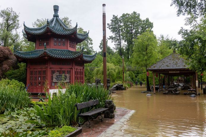 Inondations à Pairi Daiza.