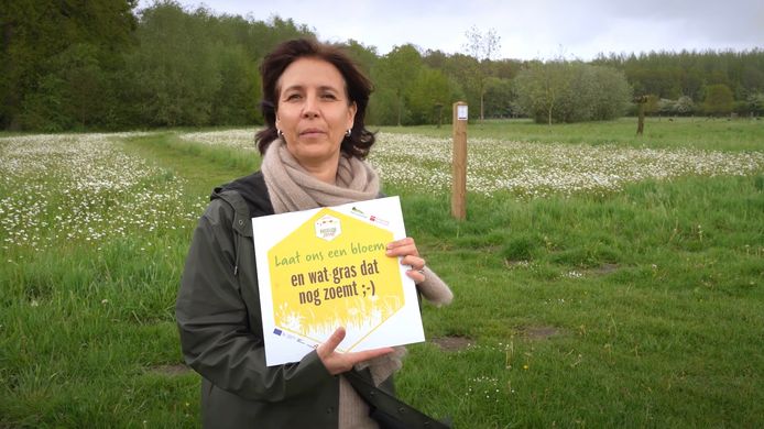 Mieke Dhoore in het Disveld in Ruiselede met een van de bij-bordjes