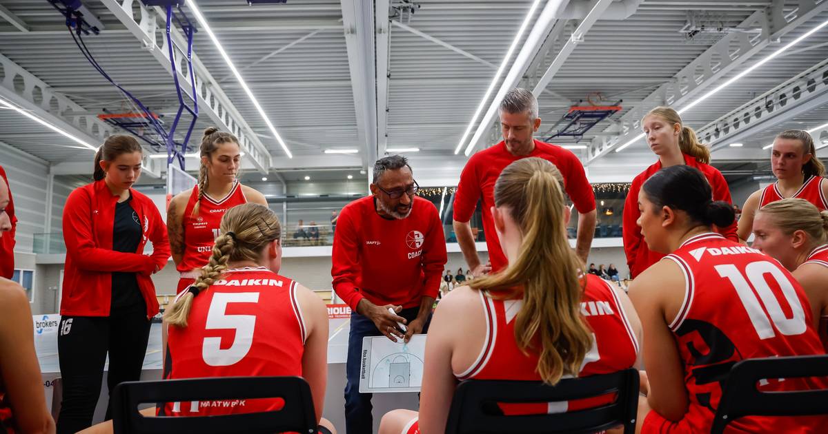 Basketbal: Jolly Jumpers blijft zoeken naar succesvolle nieuwe ...