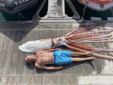 Walvisspotter hengelt inktvis van ruim 200 kilo op nabij Tenerife