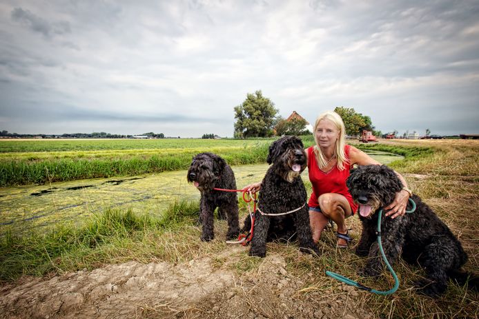 Adrienne Kivits uit Hank met drie van haar honden. Het vermoeden bestaat dat de honden zijn meegenomen en bewust op de snelweg zijn losgelaten. 
Foto Johan Wouters / Pix4Profs