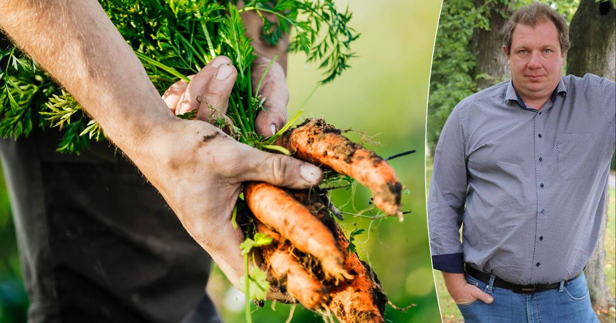 These are the gardening (vegetable) jobs for the month of May |  MyGuide