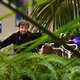 Minder ziekteverzuim door planten: reclamestunt of wetenschap?