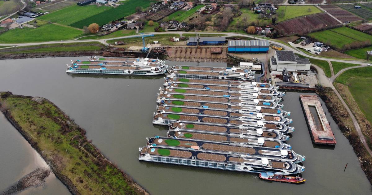 Opvang voor zeker driehonderd asielzoekers in riviercruiseschepen bij Dodewaard - De Gelderlander