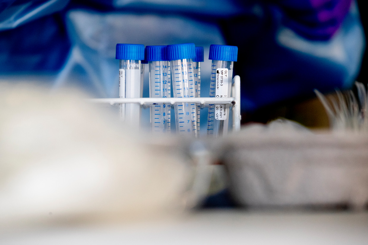 Ruim vijftig basisscholen hebben zelf commerciële tests ingekocht.  Beeld BSR Agency
