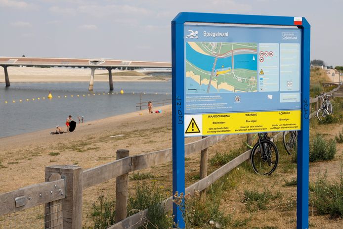 De waarschuwing tegen blauwalg in de Spiegelwaal is niet meer van kracht.