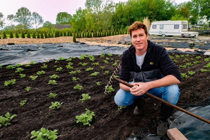 Ronald eet alleen uit eigen tuin: 'Zaadjes van 20 cent, 100 kroppen sla' | Geld AD.nl