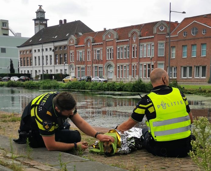 Agenten ontfermen zich over de geredde ree.
