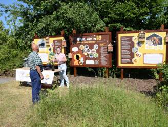 Nieuwe infoborden vertellen je alles over bijen in Ecodemotuin en Moldersbok