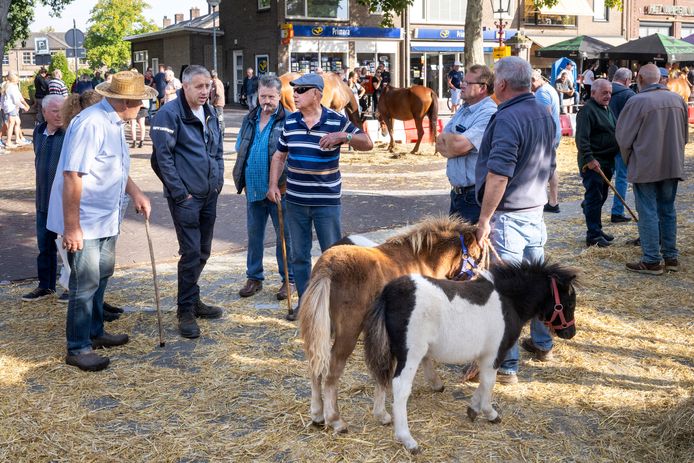 De paardenmarkt in Elst.