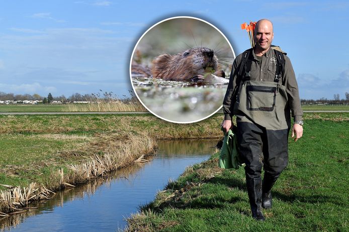 Lambertus van Diermen in de polder, waar wekelijks vallen worden gecontroleerd.
