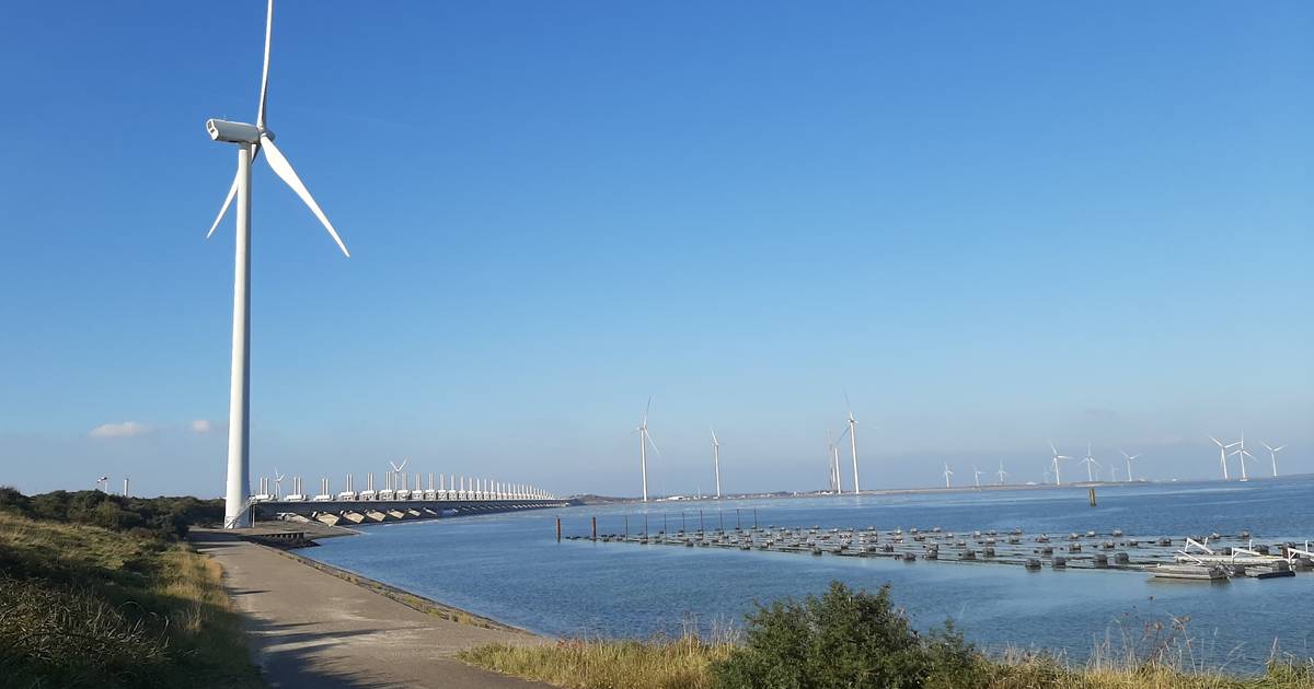 Nachtelijke lampjes windmolens Neeltje Jans moeten uit, vindt de SGP Noord-Beveland - Provinciale Ze