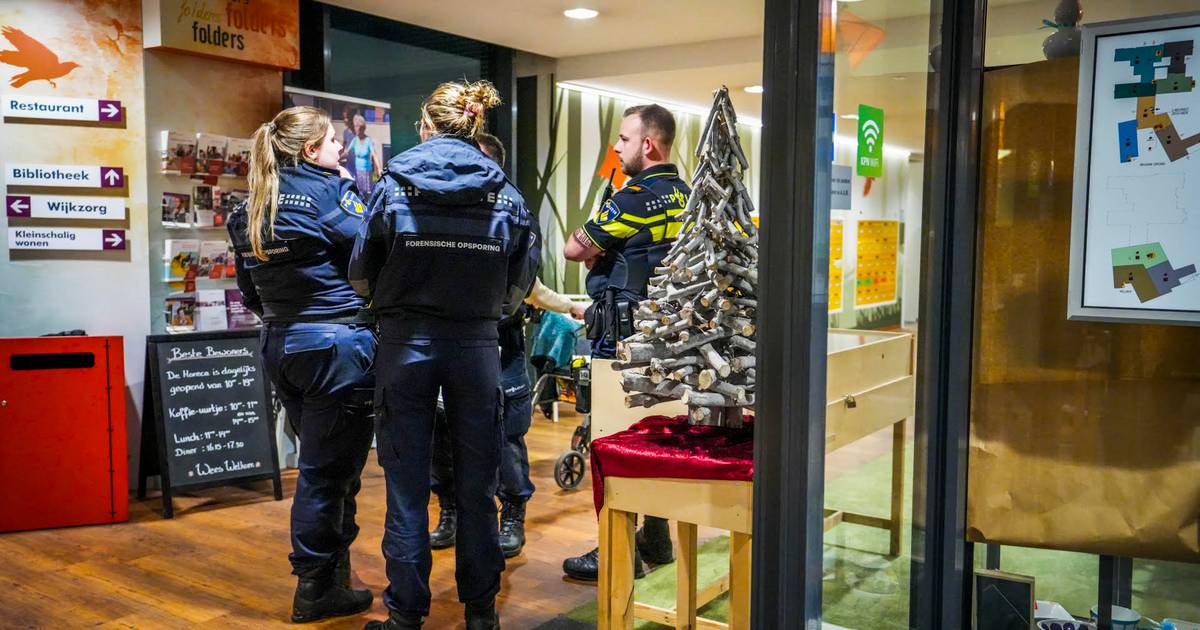 Dead woman found in Eindhoven apartment, man arrested: Police investigation underway