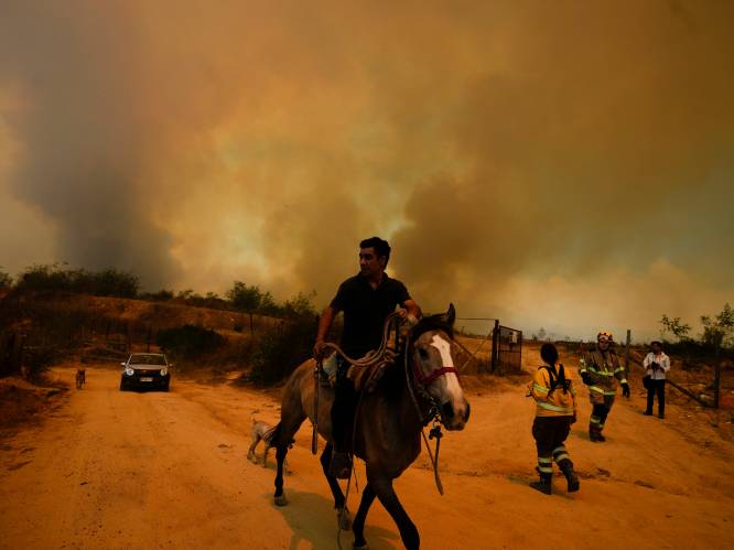Brandweerman gearresteerd op verdenking van stichten bosbranden Chili waarbij 137 mensen omkwamen