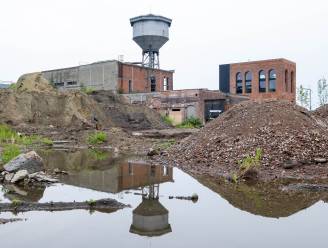 Site De Naeyer: van zwaar vervuilende industrie tot woonzone in schaduw van Vredesbrug