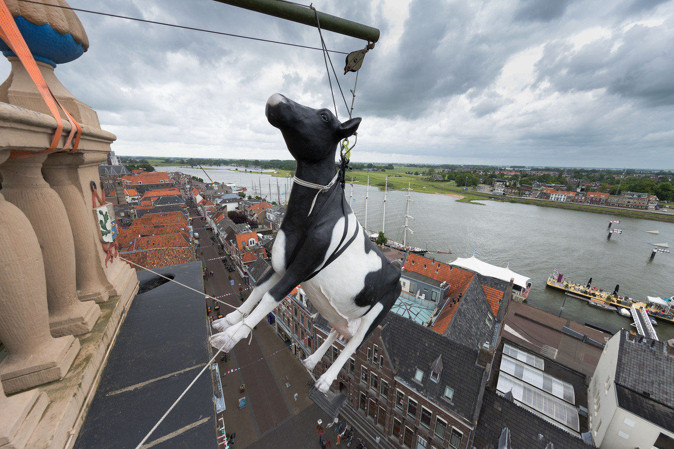 Op De Nieuwe Kampen Amerikanen hijsen de koe in Kampen, en 7 miljoen landgenoten zien het