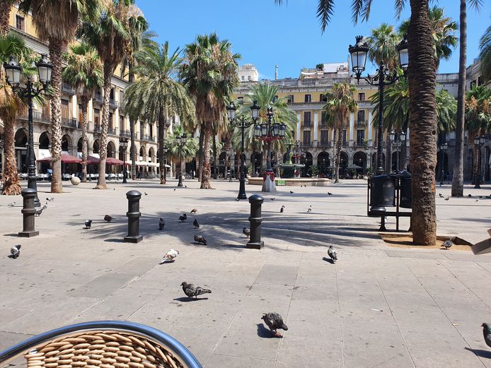 De Plaça Reial, uitgevend op de Ramblas in Barcelona, ligt er eerder verlaten bij. Ook daardoor voelen Vlamingen in de stad zich veiliger dan thuis.