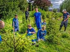 Dit dorp heeft een bos vol kerstbomen, maar het is ‘een wonder’ dat alles het heeft overleefd