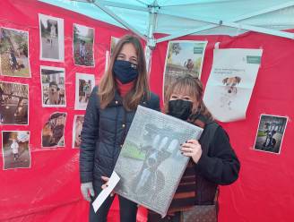 Hond Skye wint #uithunkot-fotoactie