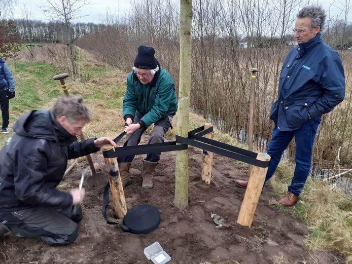 Jan Hein Stadhouders, Harry Peters en wethouder Johan van der Schoot leggen de laatste hand aan de aanplant van de bakenboom.