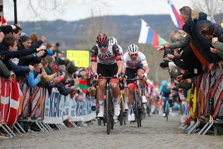 Tadej Pogacar op de Oude Kwaremont.  Beeld Photo News