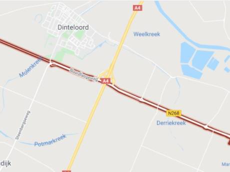 Niet nog meer kassen in Steenbergen: ‘Het is gewoon gestoord’