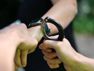 Man weigert bij voertuigcontrole 6500 euro schadevergoeding te betalen, moet mee naar Torentijd
