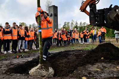 Borne slaat met avontureneiland twee vliegen in een klap én laat vleermuizen vliegen