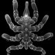 Onderwaterwonder: deze zeespin kan verloren lichaamsdelen en organen weer laten aangroeien