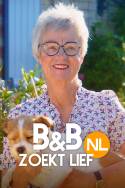 boxcover van B&B zoekt Lief NL