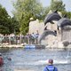 Dieren werken graag voor de kost