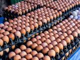 Als productie van eitje 14 cent kost, waarom betalen we dan dubbele? ‘Truc van de supermarkt’