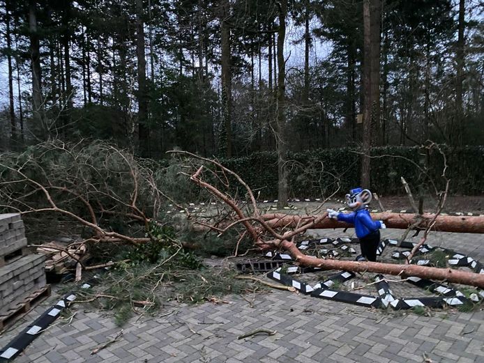 Een omgevallen boom blokkeert een fietspad achterin attractiepark Julianatoren in Apeldoorn.