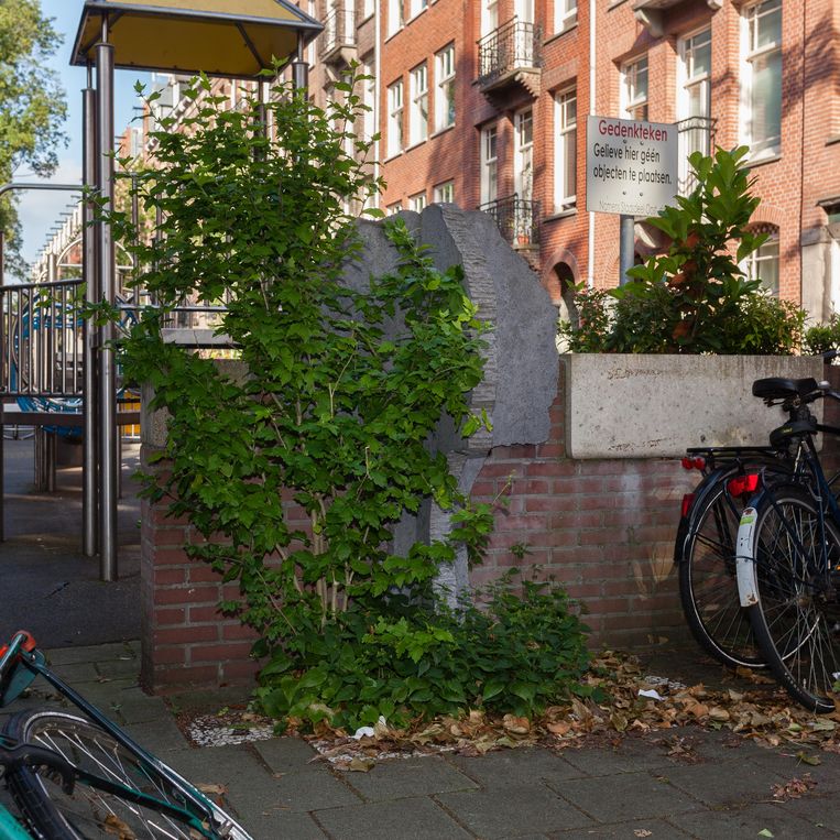 Het dramatische verhaal achter de stenen boom op de Vrolikstraat