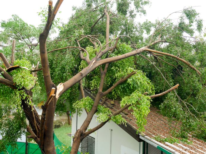 Enkele rukwinden zullen je huis heus niet in elkaar doen stuiken. Maar als de weersomstandigheden jaar na jaar extremer worden, moeten we toch eens nadenken over extra beveiliging.