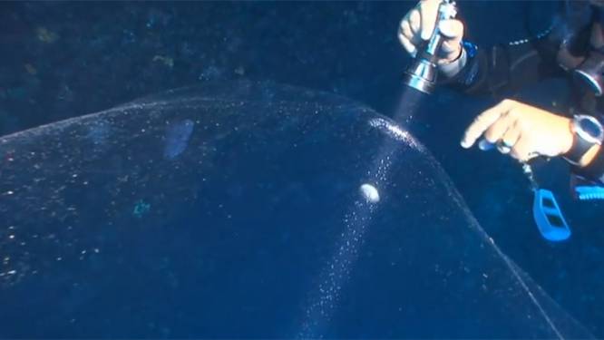 Duikers doen mysterieuze ontdekking 22 meter onder zeespiegel voor Turkse kust